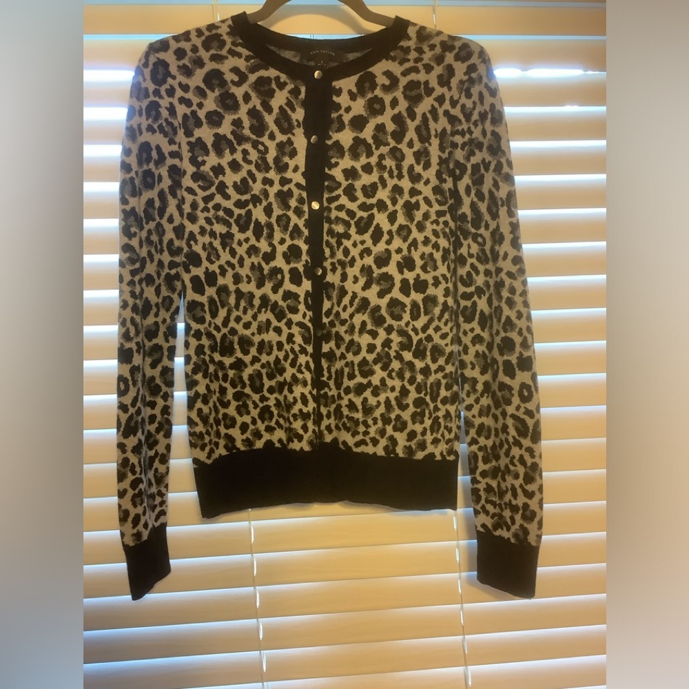 Ann Taylor Sweater